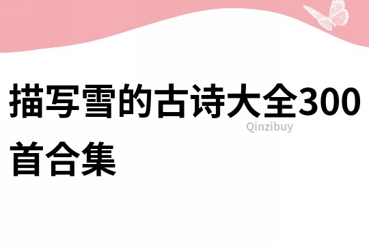 描寫雪的古詩大全300首合集