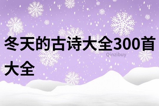 冬天的古詩大全300首大全