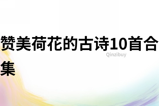 贊美荷花的古詩(shī)10首合集
