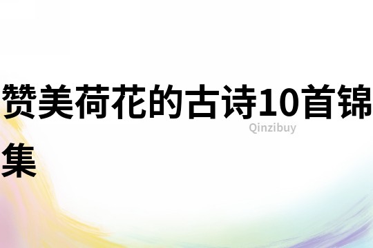 贊美荷花的古詩10首錦集