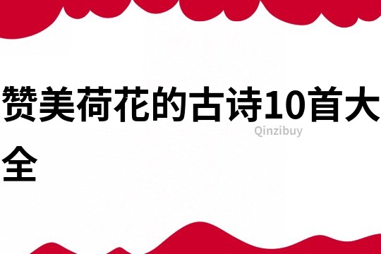贊美荷花的古詩10首大全