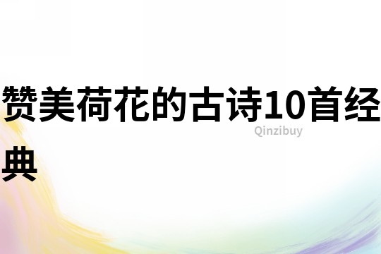 贊美荷花的古詩10首經典