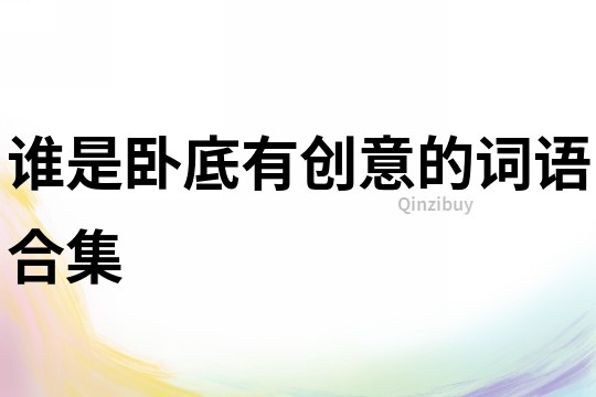 誰是臥底有創意的詞語合集