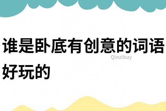 誰是臥底有創(chuàng)意的詞語好玩的