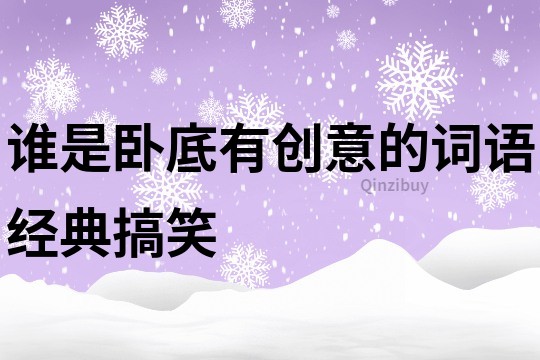 誰是臥底有創意的詞語經典搞笑