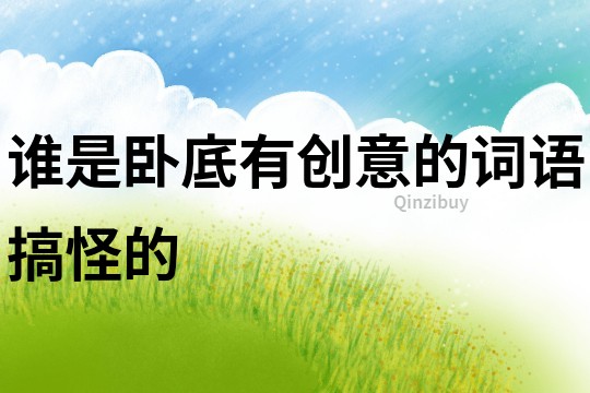 誰(shuí)是臥底有創(chuàng)意的詞語(yǔ)搞怪的