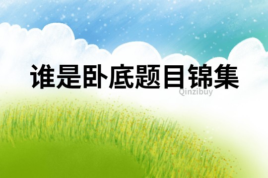 誰是臥底題目錦集
