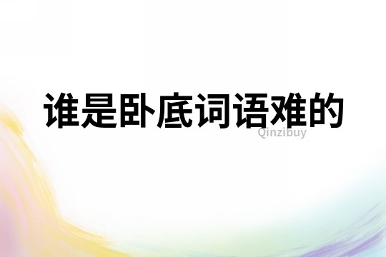 誰是臥底詞語難的