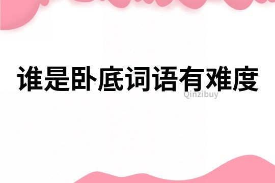 誰是臥底詞語有難度
