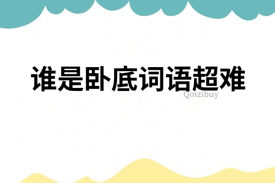 誰是臥底詞語超難