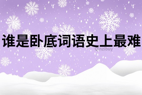 誰是臥底詞語史上最難