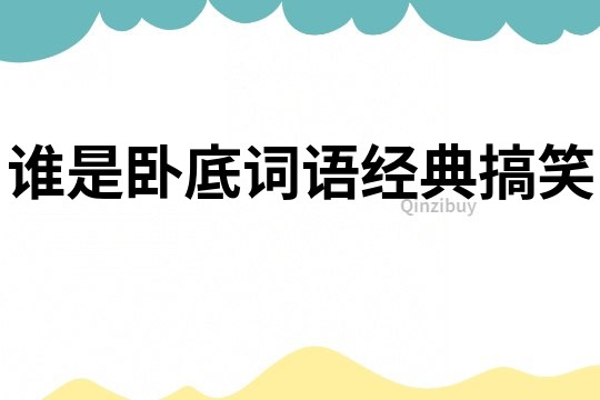 誰是臥底詞語經(jīng)典搞笑