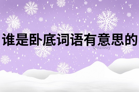誰是臥底詞語有意思的