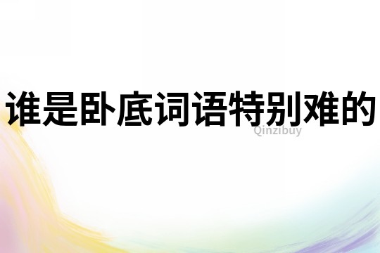 誰是臥底詞語特別難的