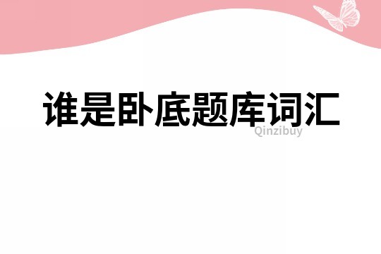 誰是臥底題庫詞匯