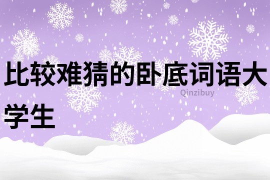 比較難猜的臥底詞語大學生