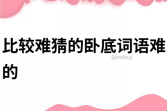 比較難猜的臥底詞語難的
