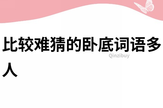 比較難猜的臥底詞語多人