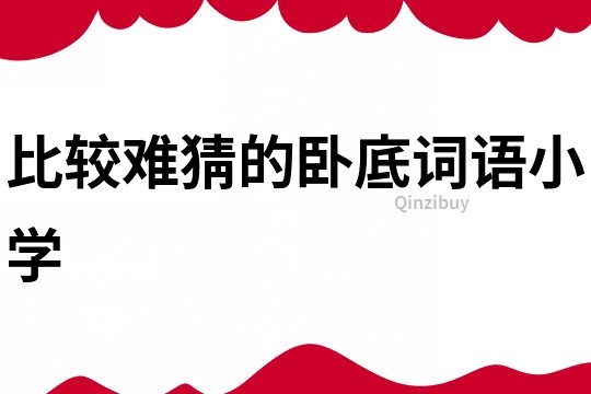 比較難猜的臥底詞語小學