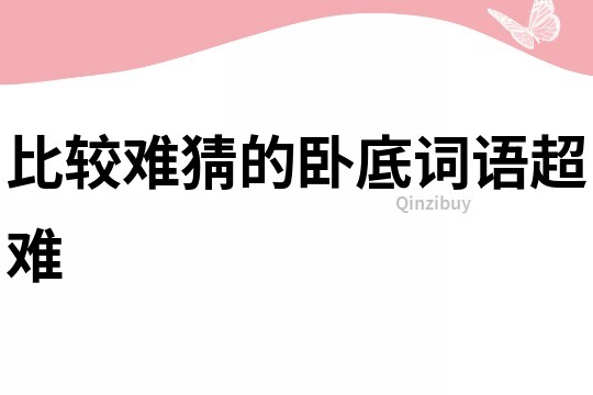 比較難猜的臥底詞語超難