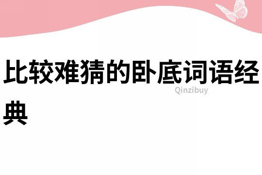 比較難猜的臥底詞語經典