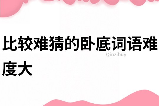 比較難猜的臥底詞語難度大