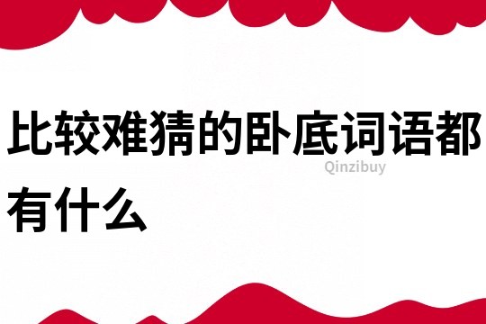 比較難猜的臥底詞語都有什么