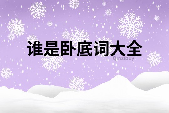 誰是臥底詞大全