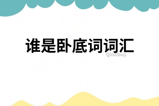 誰是臥底詞詞匯