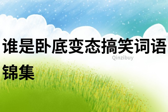 誰是臥底變態搞笑詞語錦集