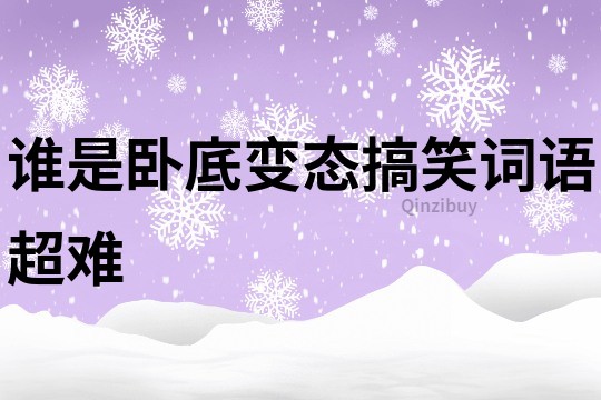 誰是臥底變態搞笑詞語超難