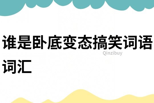 誰是臥底變態搞笑詞語詞匯