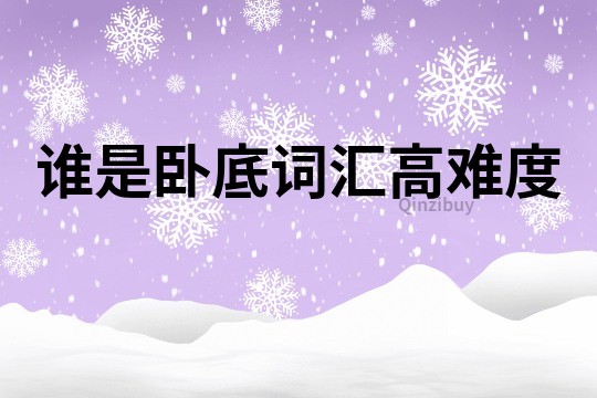 誰是臥底詞匯高難度