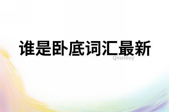 誰是臥底詞匯最新