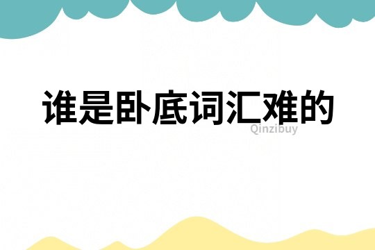 誰是臥底詞匯難的