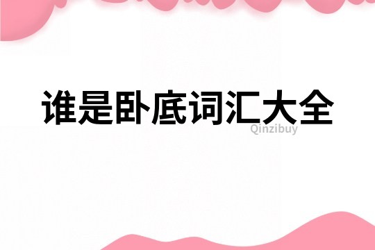 誰是臥底詞匯大全