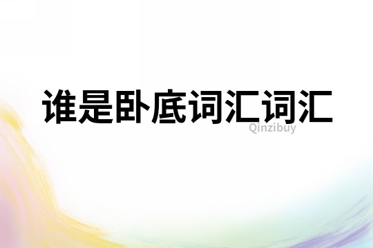 誰是臥底詞匯詞匯