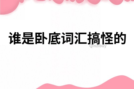 誰(shuí)是臥底詞匯搞怪的
