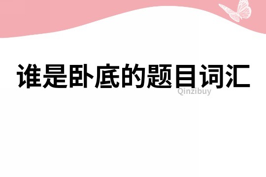 誰是臥底的題目詞匯