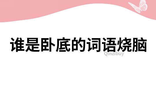誰是臥底的詞語燒腦