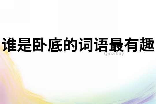 誰(shuí)是臥底的詞語(yǔ)最有趣