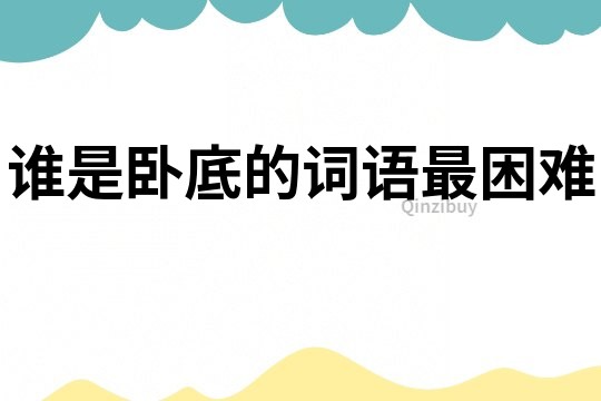 誰是臥底的詞語最困難