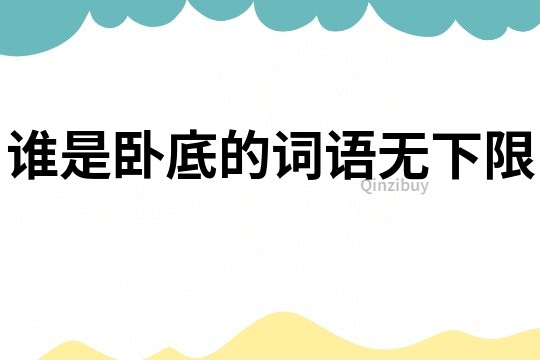 誰是臥底的詞語無下限