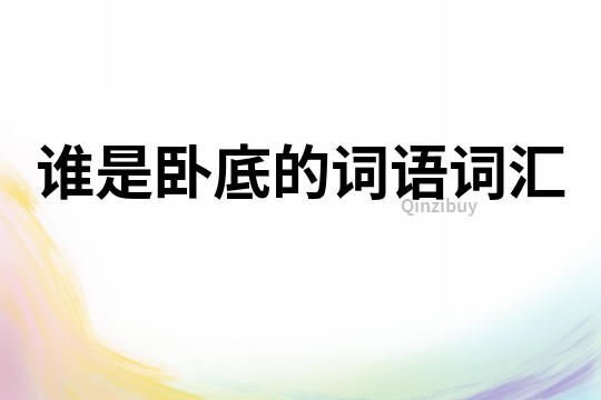 誰是臥底的詞語詞匯