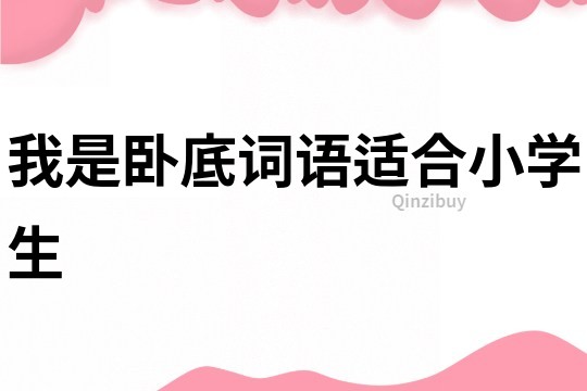 我是臥底詞語適合小學生