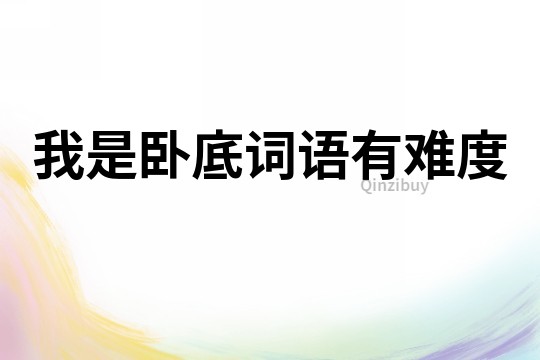 我是臥底詞語有難度