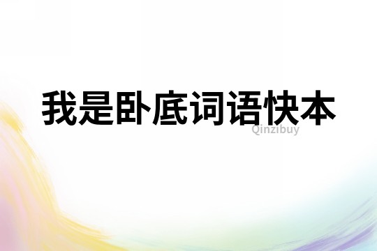 我是臥底詞語快本