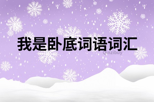 我是臥底詞語詞匯
