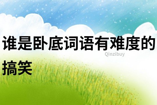 誰是臥底詞語有難度的搞笑