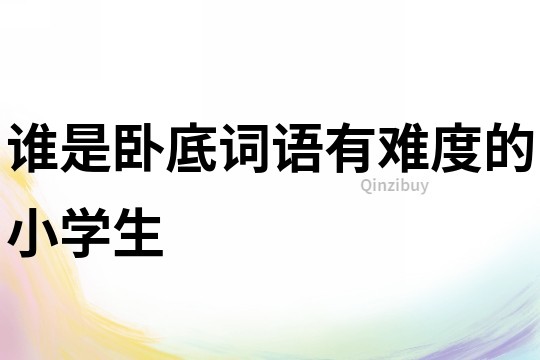 誰是臥底詞語有難度的小學生